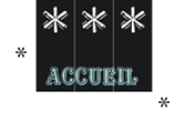 accueil book